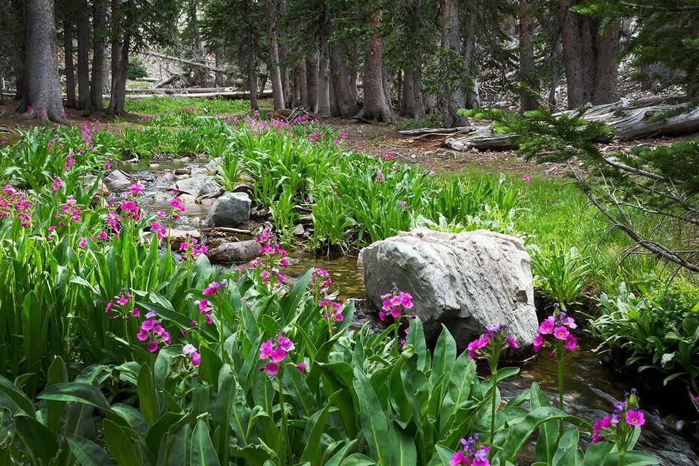 4. Great Basin NP