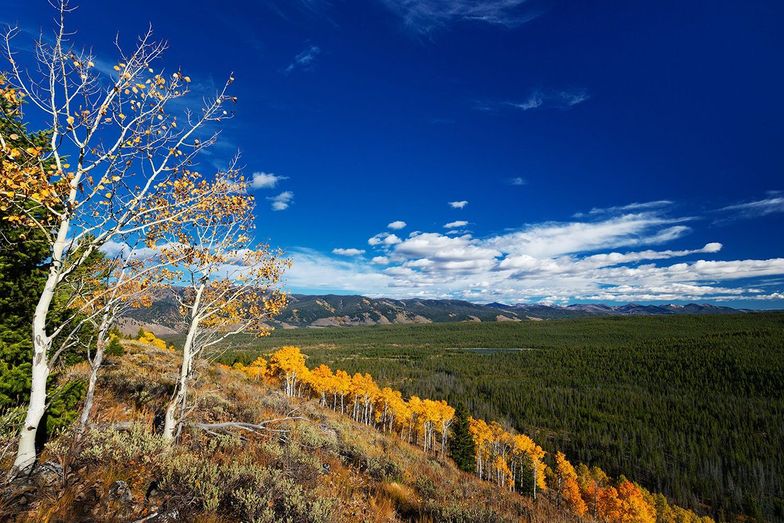 https://www.outtraveler.com/media-library/6-road-trips-perfect-for-fall-colors-salmon-river-scenic-byway-u2013-idaho.jpg?id=41572159&width=784&quality=85