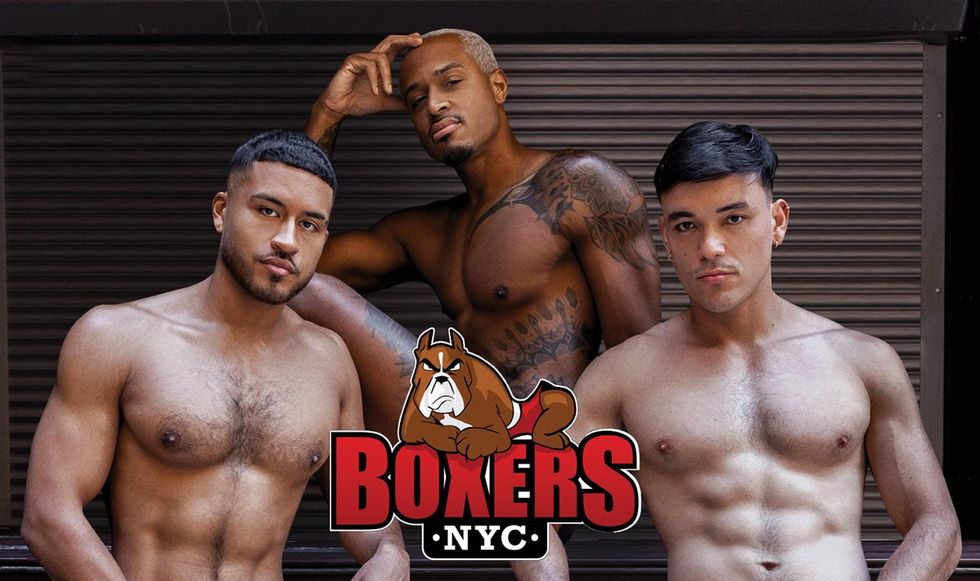 Boxers NYC 2025 Calendar