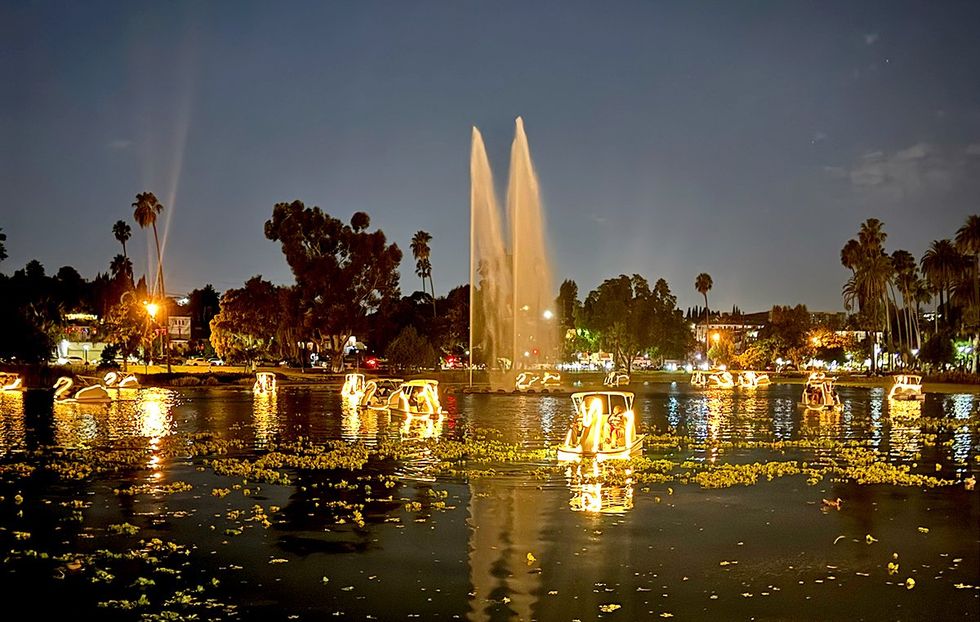 EchoParkLake swanboats