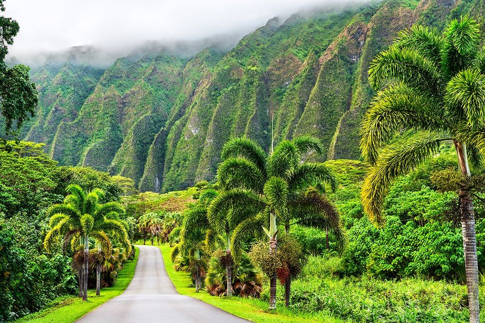 Ho\u2019omaluhia Botanical Park views of Ko\u2019olau mountains on Oahu, Hawaii. Oahu\u2019s first adults-only hotel in the heart of Honolulu is the perfect Hawaiian getaway \u2013 Experience an unforgettable fusion of island charm and city energy at the Romer House Waikiki.