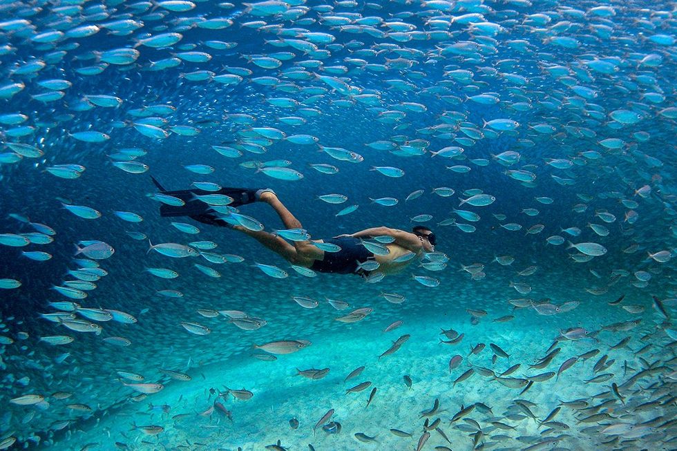 These amazing destinations beckon solo travelers with curated experiences and pricing: Bonaire