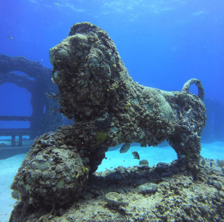 https://www.outtraveler.com/media-library/top-diving-spots-in-the-americas-neptune-memorial-reef-u2013-florida-usa.png?id=32196964&width=784&quality=85
