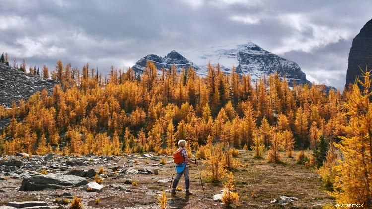 Woman hiking alone in Canadian Wilderness