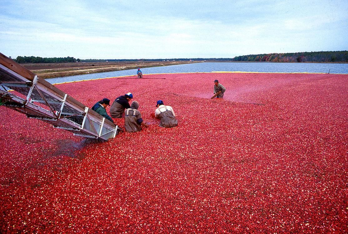 10 Charming Harvest Festivals in America